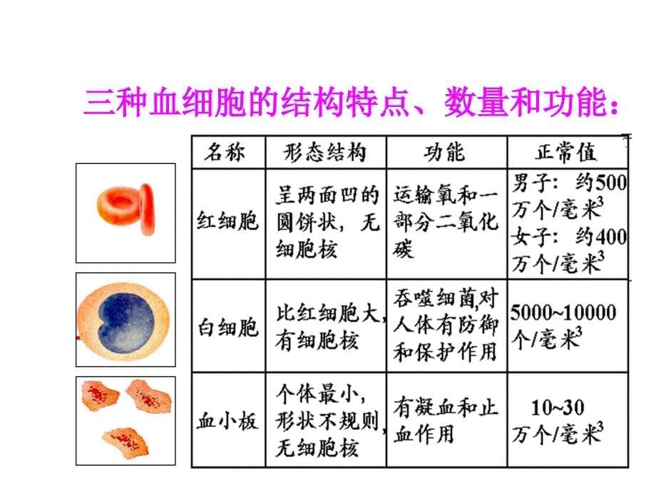 44复习课件_第5页