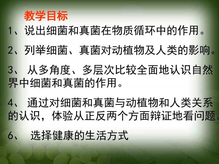 细菌和真菌在自然界中的作用课件_第4页