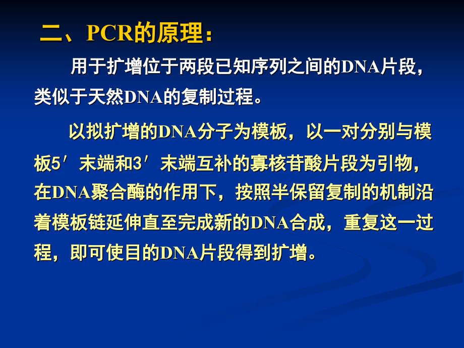 聚合酶链式反应PCR_第4页