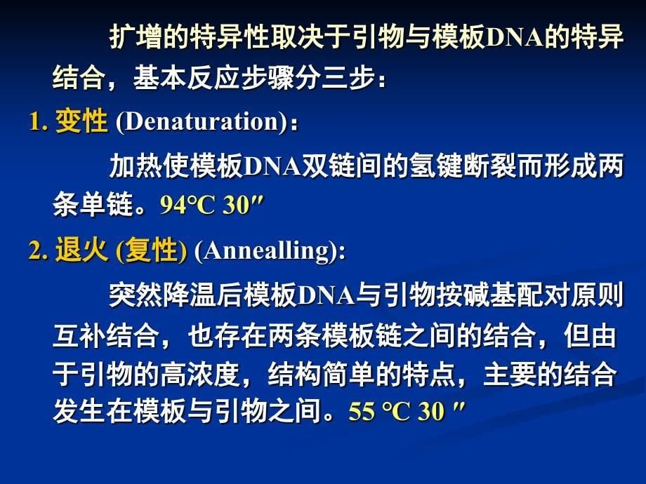 聚合酶链式反应PCR_第5页