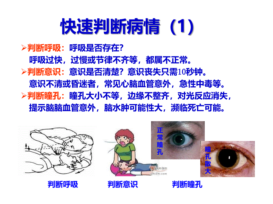 《常急救知识》PPT课件_第3页