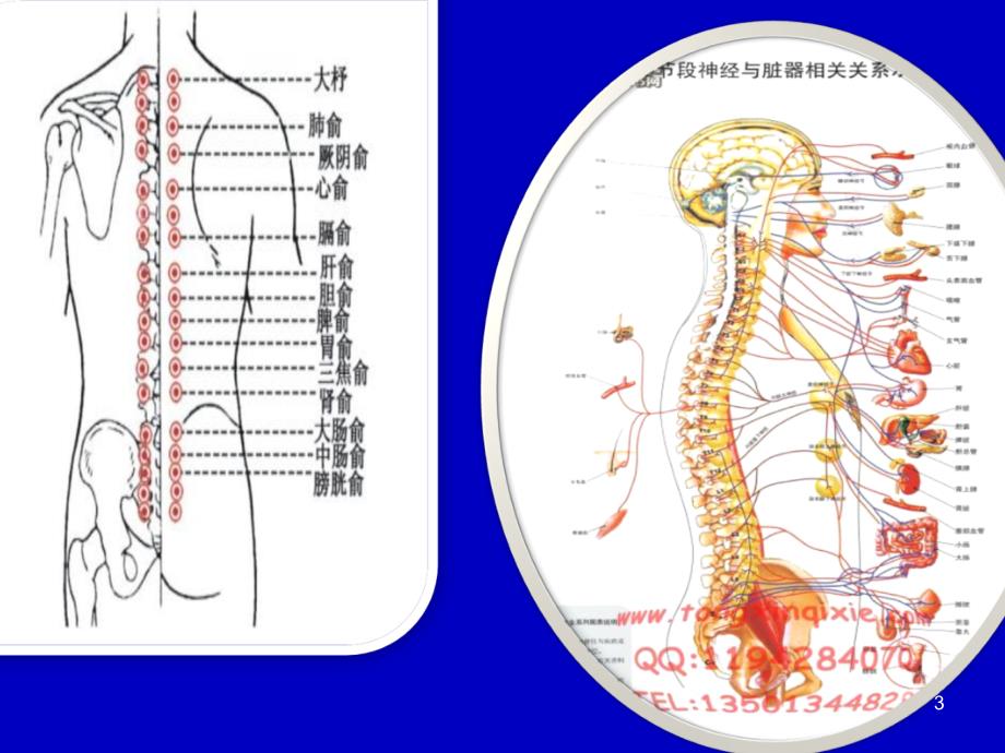 脊柱整脊方法 ppt课件_第3页