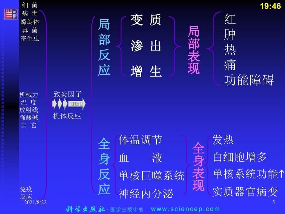 第4章-炎症(病理学基础教学)推荐课件_第5页