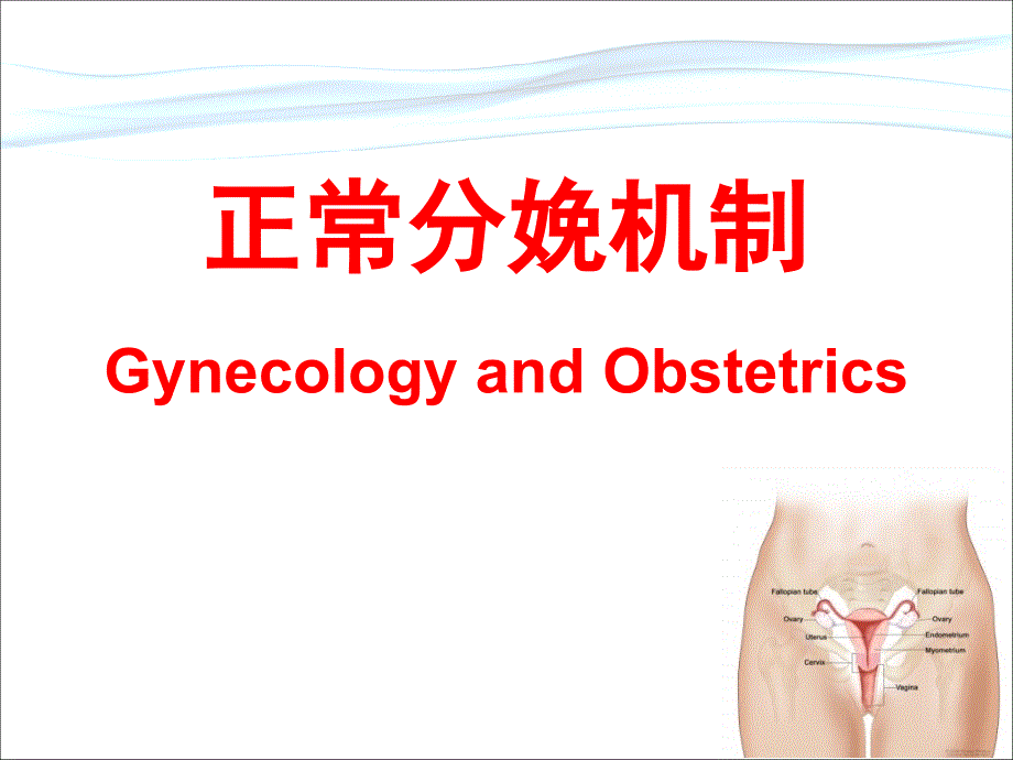 正常分娩机制课件.ppt_第1页