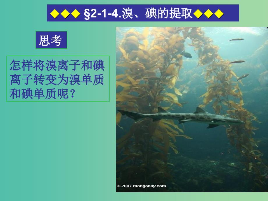 高中化学 2.1.4 溴、碘的提取课件 苏教版必修1.ppt_第4页