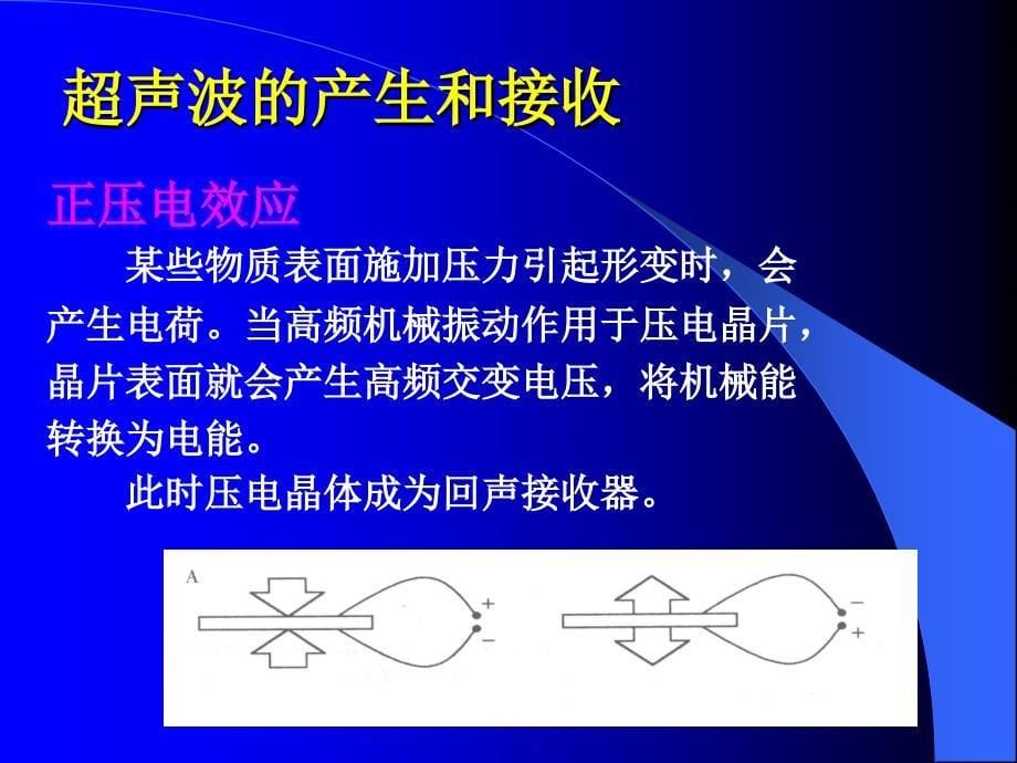 超声诊断学PPT课件_第5页