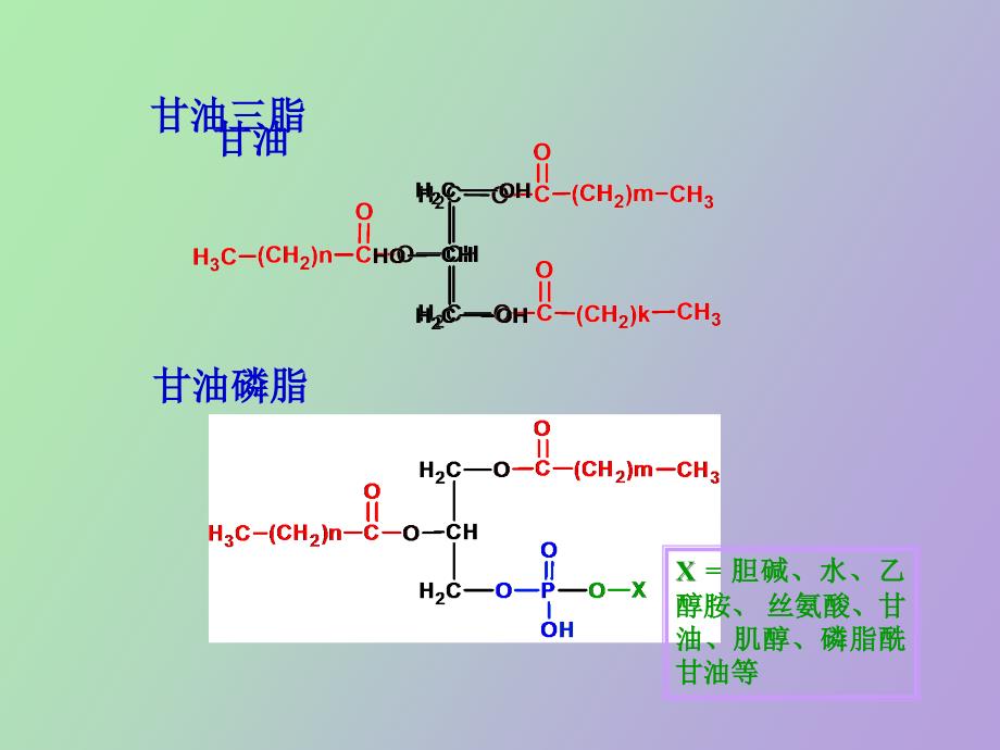 脂类代谢化学系_第4页