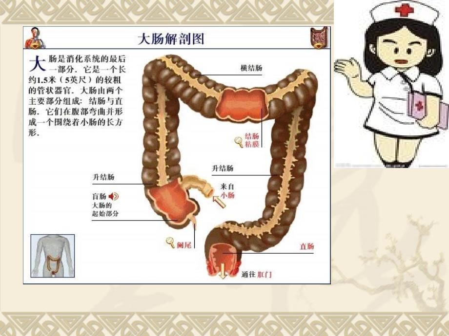 直肠癌保肛术并发肠瘘课件_第4页