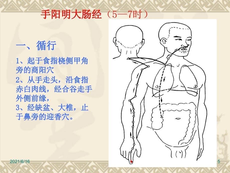 手阳明大肠经及其作用_第5页