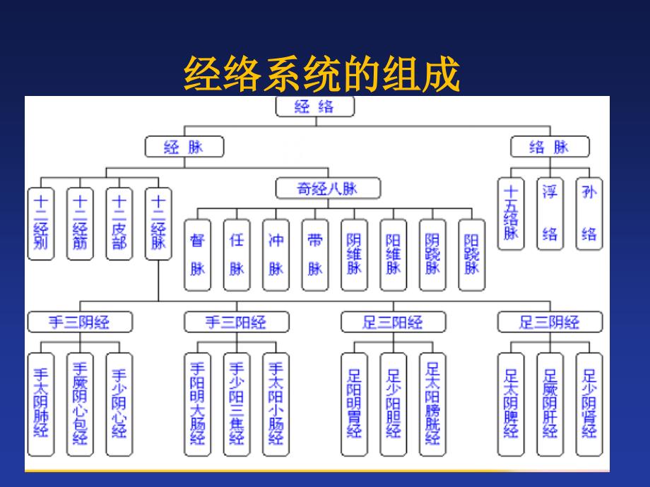 经络腧穴ppt课件_第3页