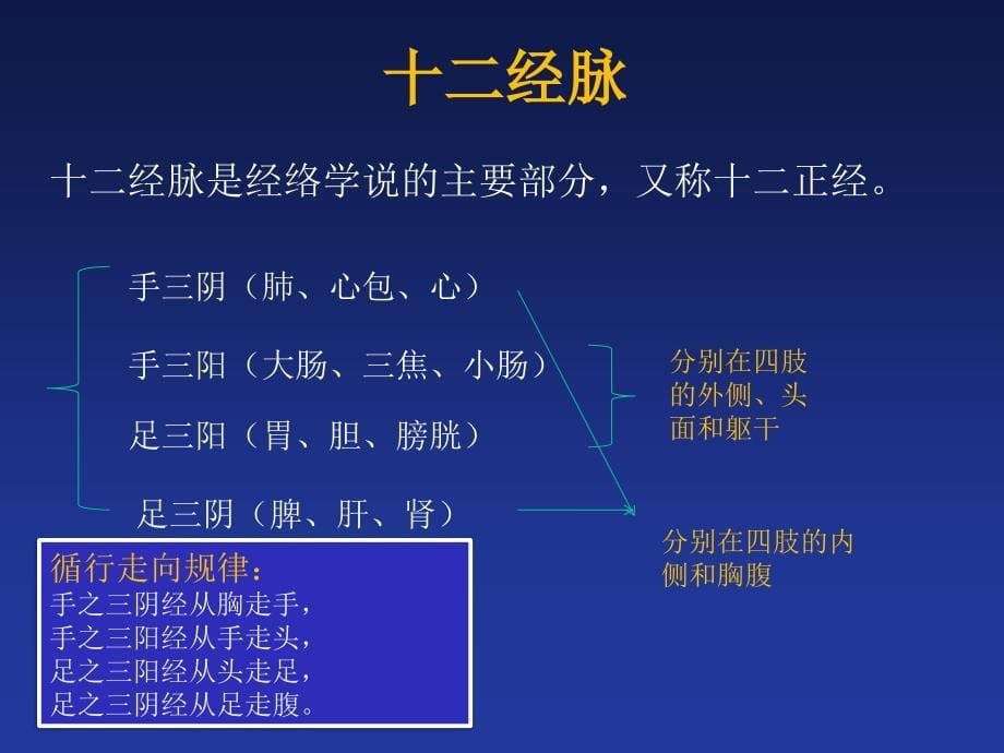 经络腧穴ppt课件_第5页