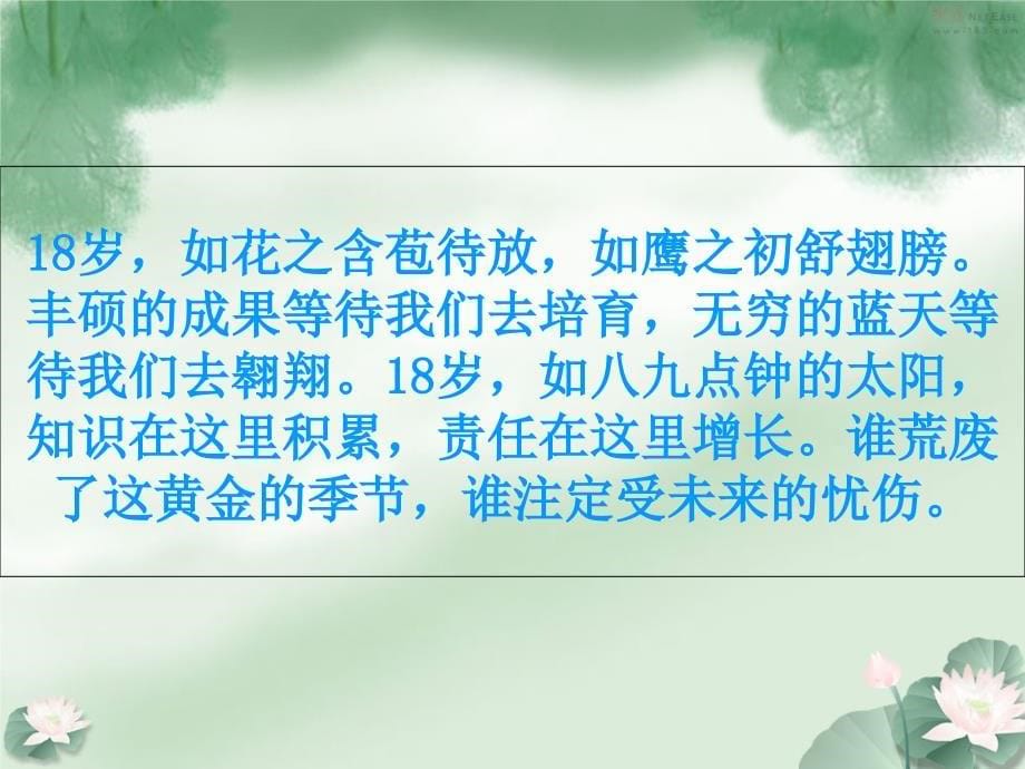 十八岁出门远行课件67张PPT_第5页