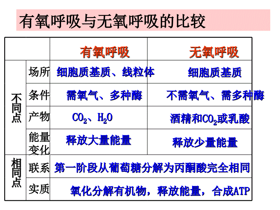 细胞呼吸原理的应用.ppt_第2页