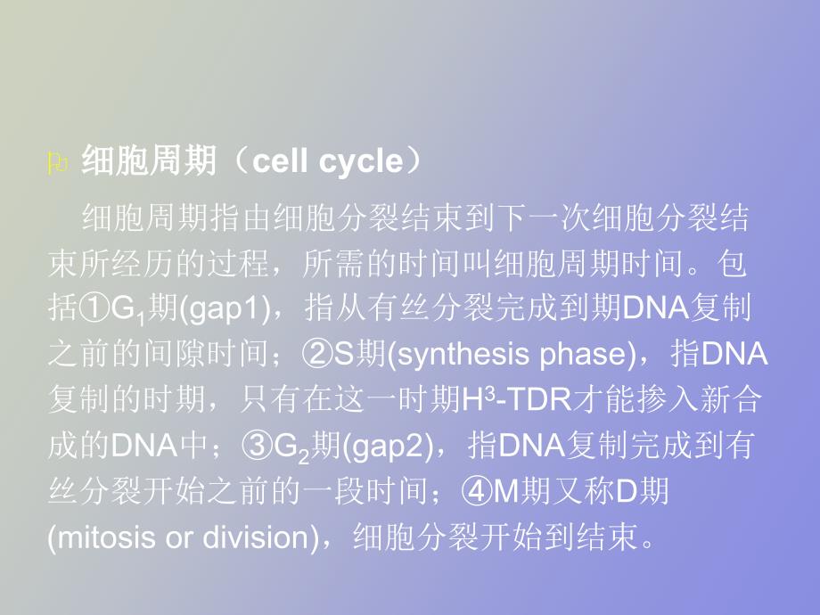 医学生物学期末复习第四章生命的延续_第3页