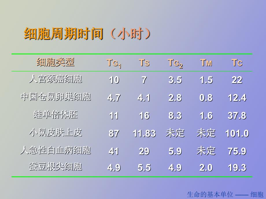 医学生物学期末复习第四章生命的延续_第4页