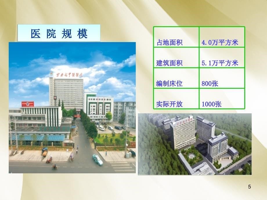 优质课件癌痛规范化治疗示范病房创建工作汇报_第5页