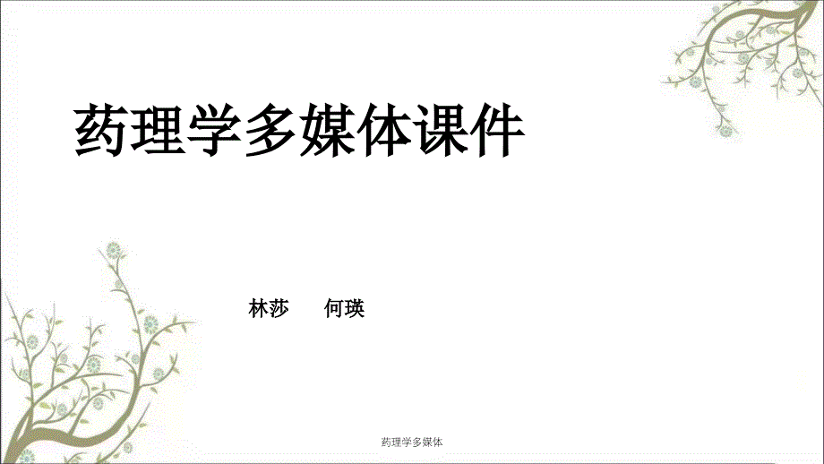 药理学多媒体课件_第1页