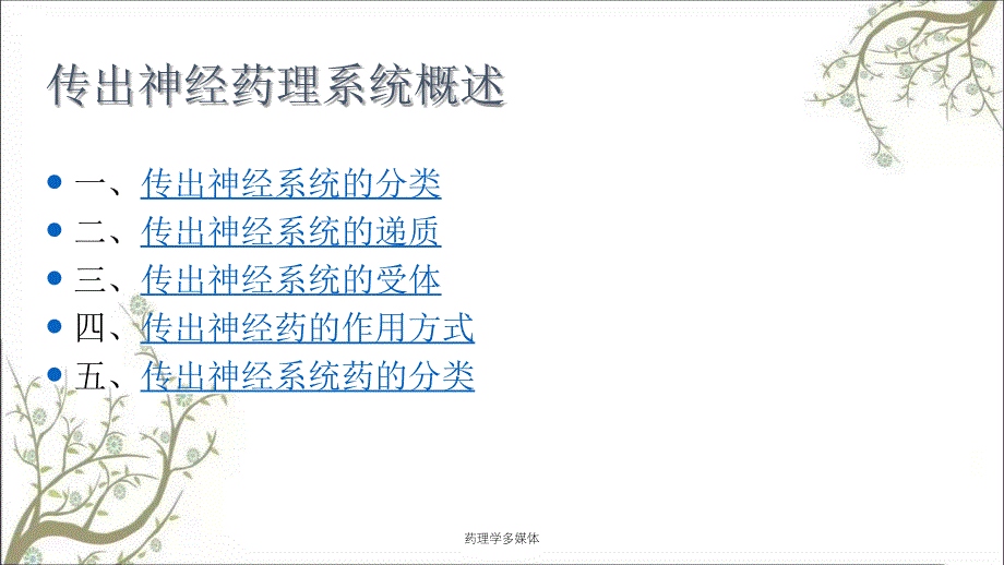 药理学多媒体课件_第3页