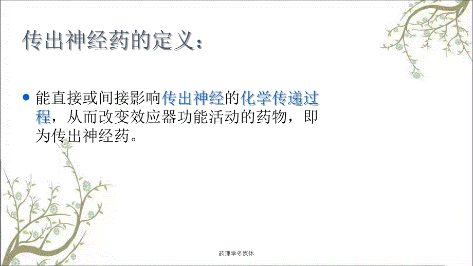 药理学多媒体课件_第4页