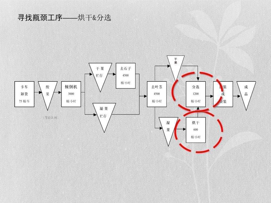 红酸果案例分析_第5页