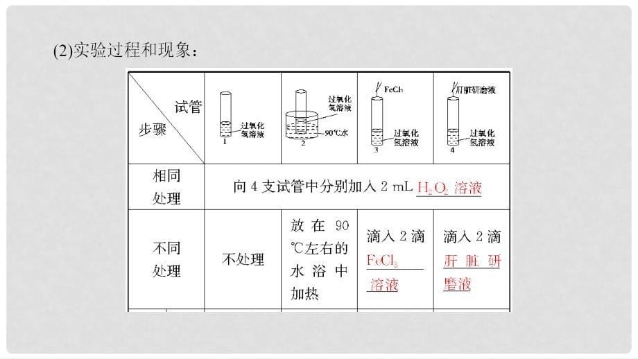 高中生物 第5章 细胞的能量供应和利用 第1节 降低化学反应活化能的酶课件 新人教版必修1_第5页