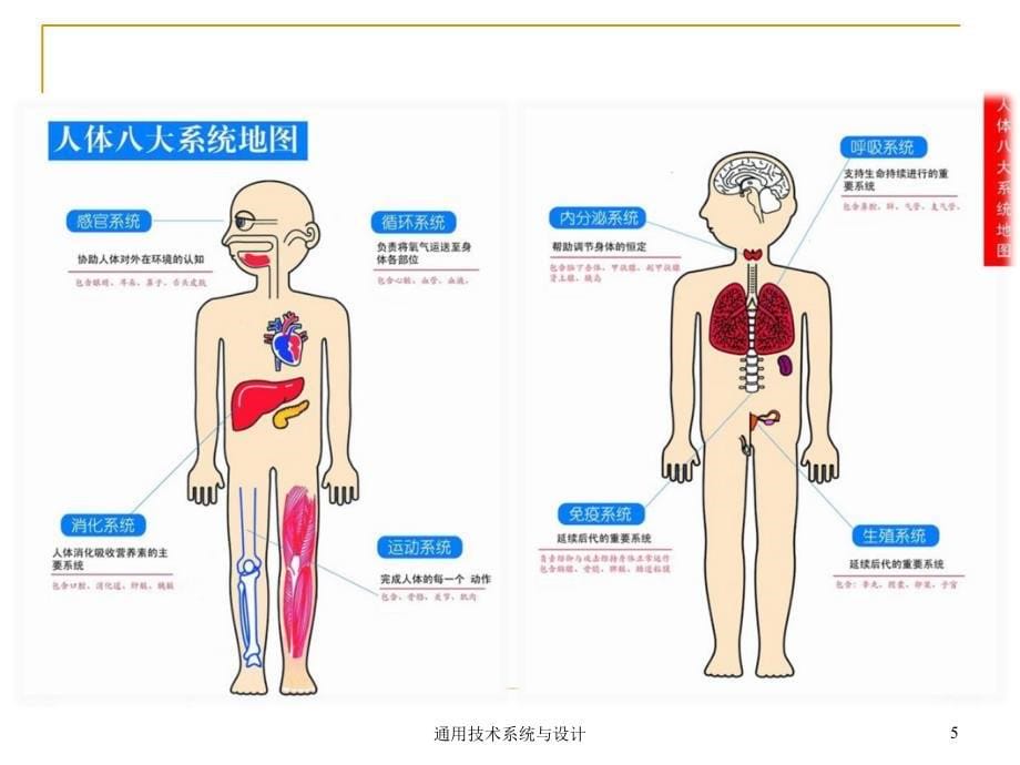 通用技术系统与设计课件_第5页