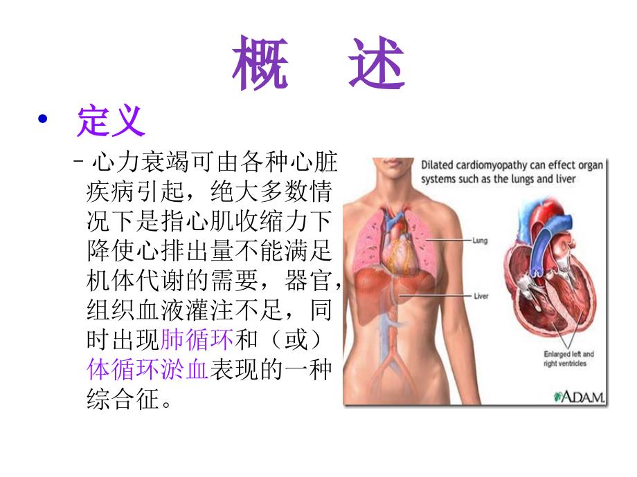 课件：心功能不全健康教育.ppt_第2页