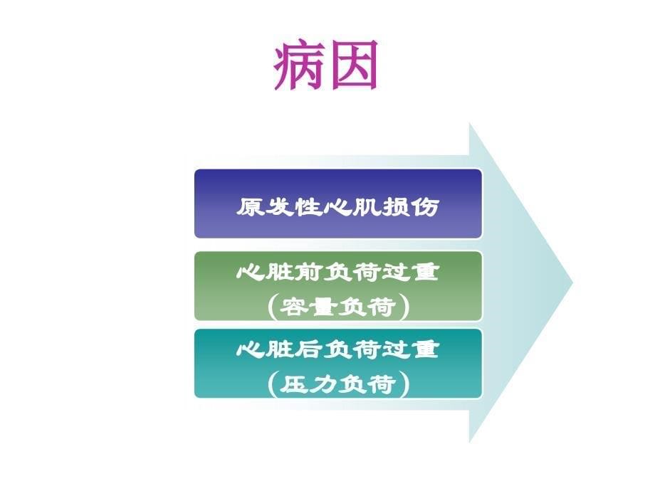 课件：心功能不全健康教育.ppt_第5页