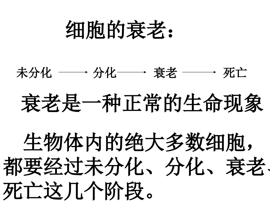 细胞的衰老和凋亡_细胞的癌变1_第3页