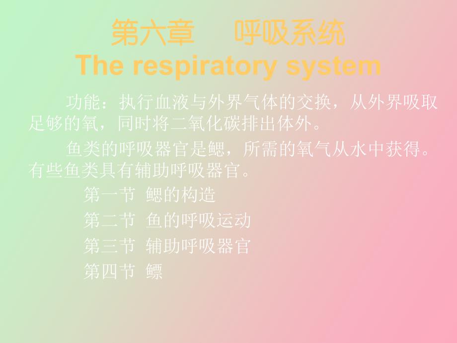 鱼类的呼吸系统_第1页