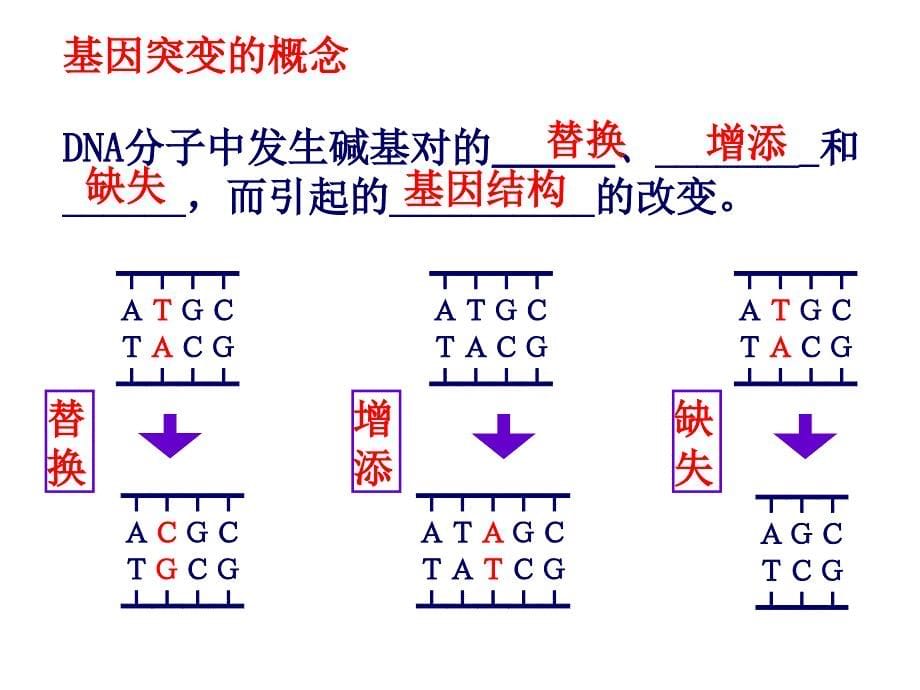 变异、育种、进化五六七_第5页