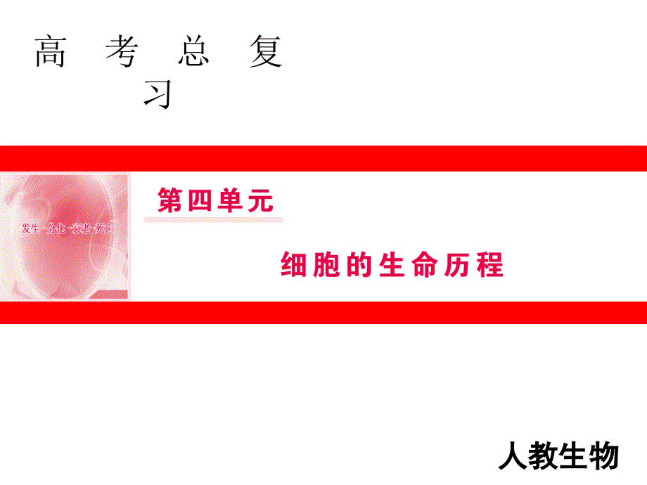 第四单元第11讲细胞的增殖_第1页