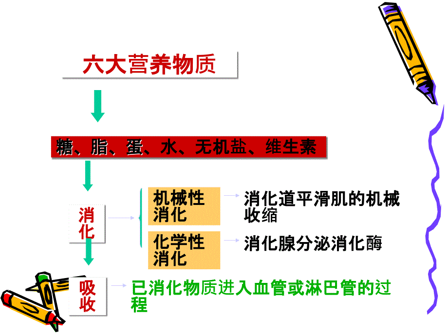 6.消化与吸收概述_第3页