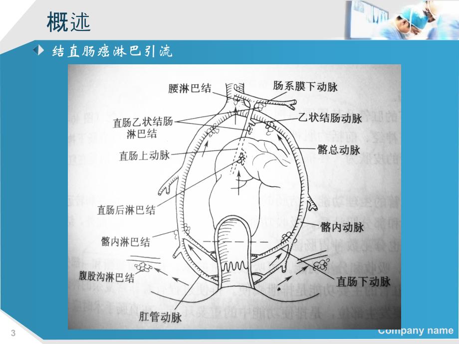 结直肠癌肝转移诊断和综合治疗指南解读_第3页