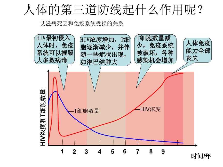 免疫调节试讲汇总_第4页