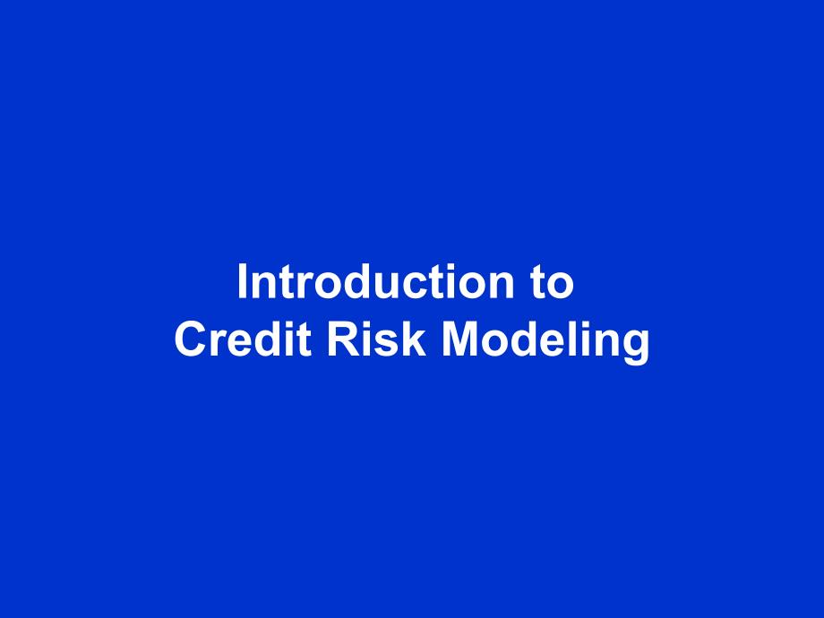 毕博上海银行咨询CreditRiskPresentationMay2002_第2页