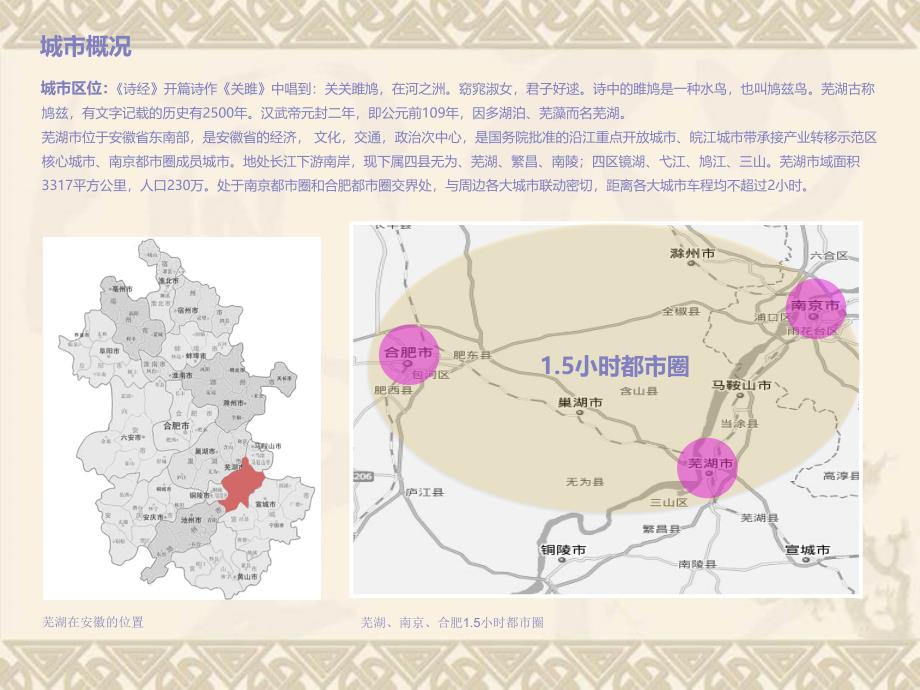 安徽芜湖华强方特新天地项目招商手册_第3页