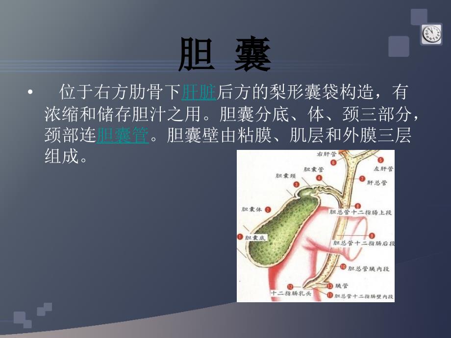 急性结石性胆囊炎 ppt课件_第4页