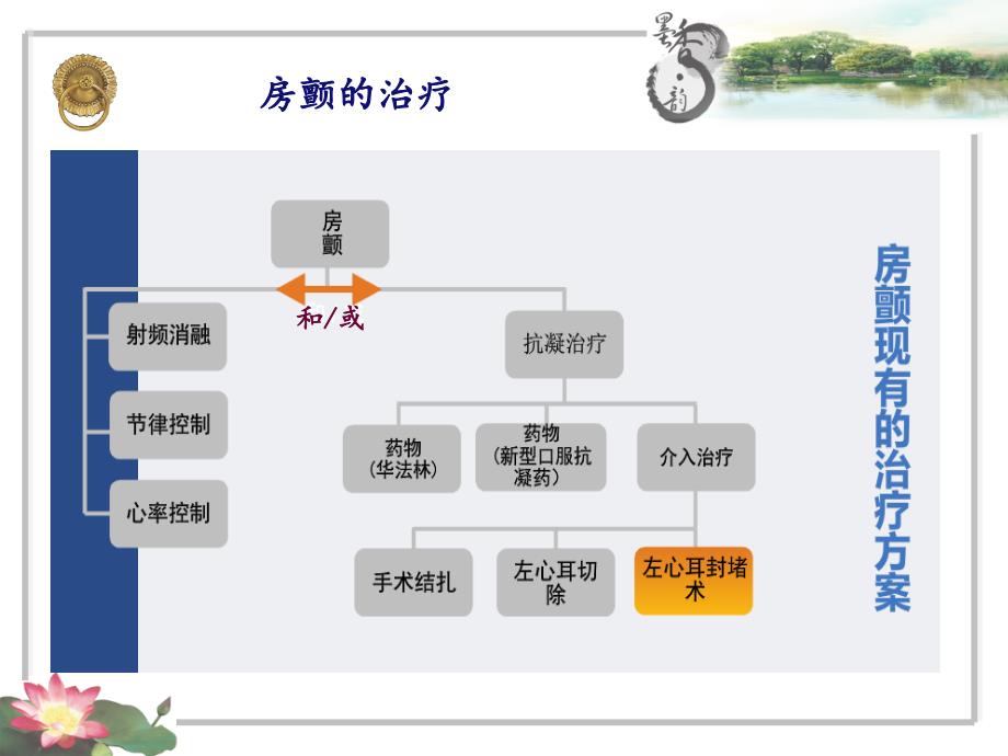 左心耳封堵术的治疗进展_第3页