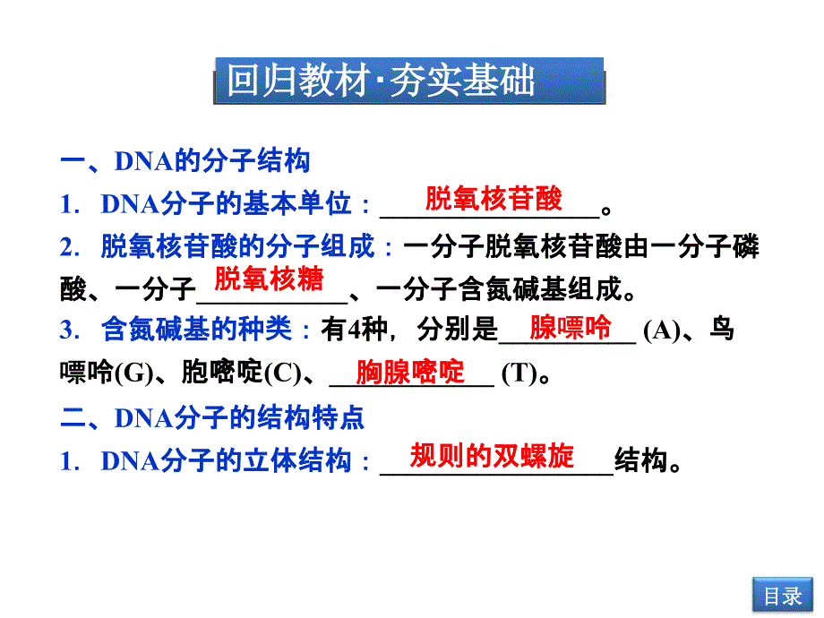 62DNA的分子结构和特点、遗传信息的传递_第3页