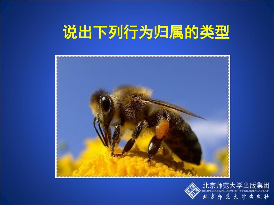 动物行为的主要类型_第1页