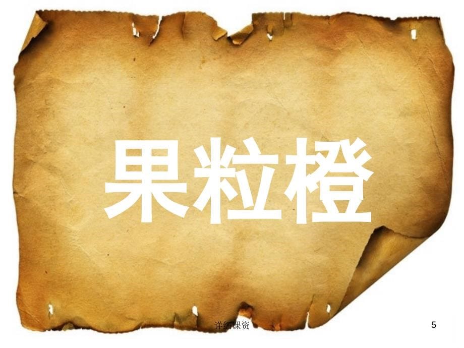 新年,活动,联欢猜词比赛ppt词库——羊皮卷版【高教课堂】_第5页