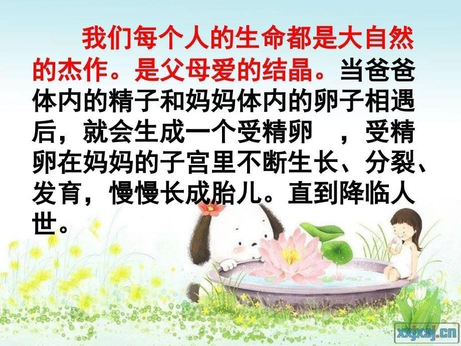 1.生命的奥秘_第5页