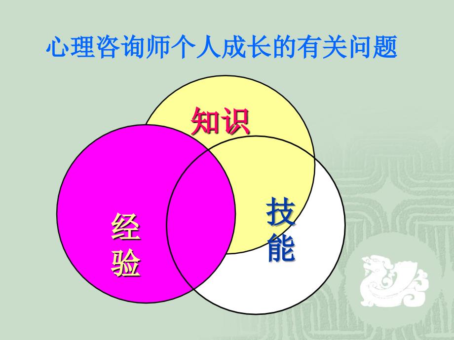 团体咨询理论与技术_第4页