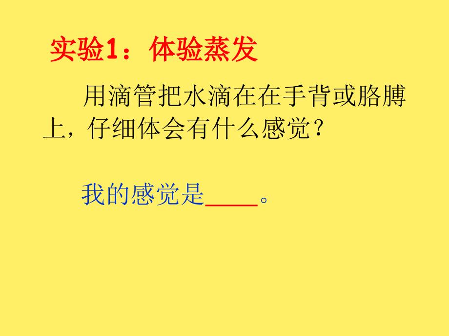 三年级上册科学课件1.1水到哪里去了教科版共12张PPT_第3页