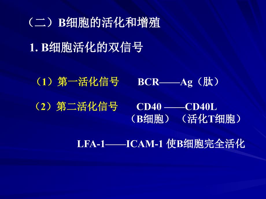 B细胞对抗原的识别及免疫应答_第4页