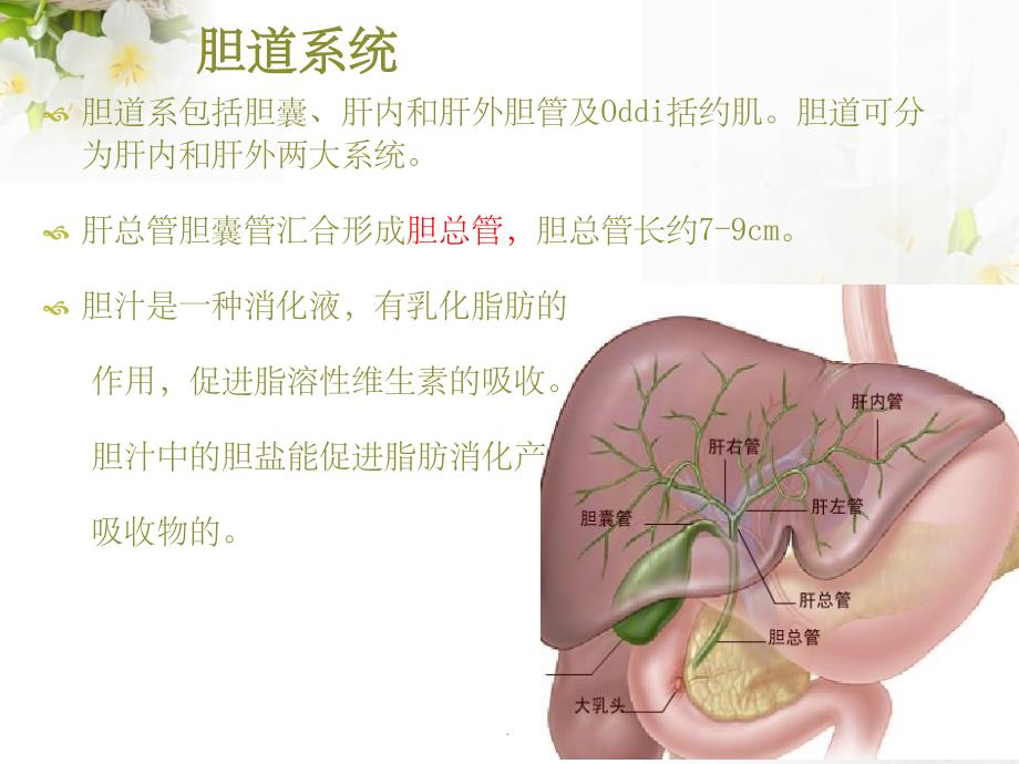 t形管引流的护理_第4页