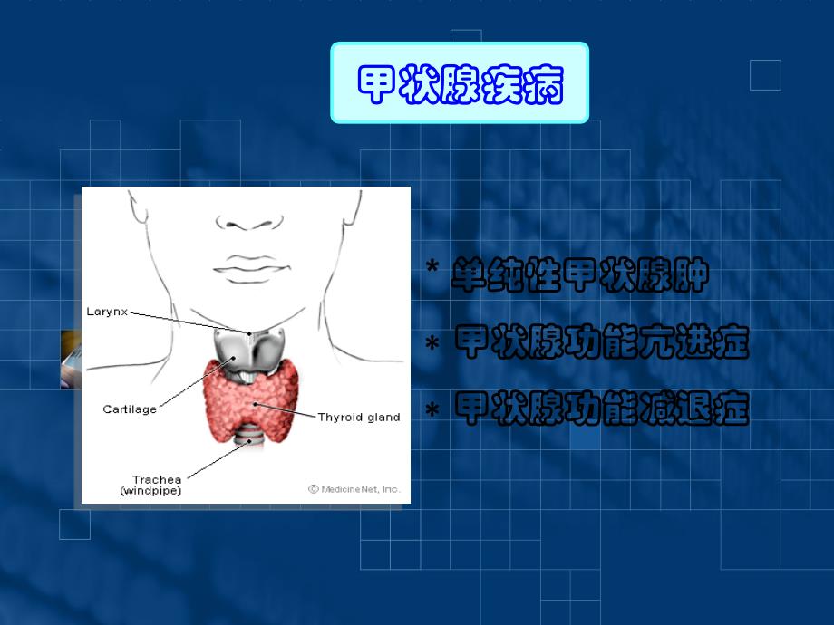 甲状腺疾病内科护理临床部分医学ppt_第1页