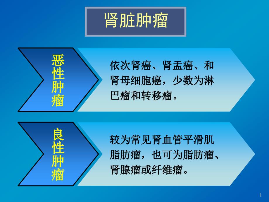 影像诊断学课件：11.泌尿系统肿瘤_第2页