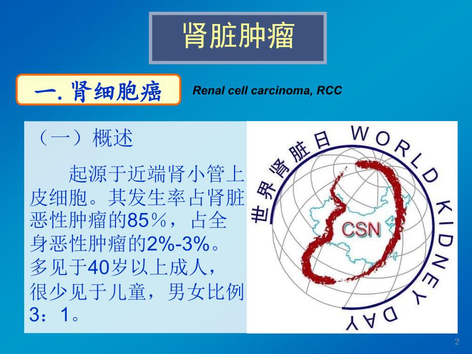 影像诊断学课件：11.泌尿系统肿瘤_第3页